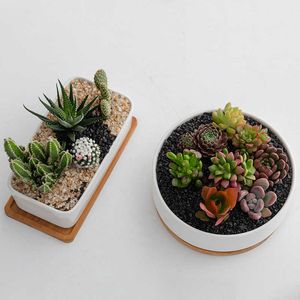 Planters Pots Simple Succulents White Porcelain Flower Pots Round Rectangular Refreshing Ceramic Pots Balcony Green Planting Home Garden Pot