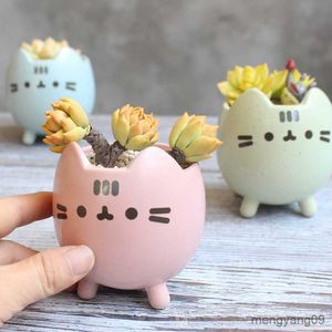 Planters POTS Succulent Plant Pot With Hole Cute Animal Flower Planter Flowerpot Lovely Little Cat Home Home Dekor Bonsai Pots Födelsedagspresent R230620