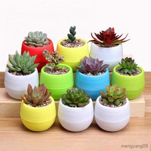 Plantadores Vasos em forma de ovo Vaso de plástico Orifício de drenagem Vaso de flores Home Office Decoração de jardim R230620