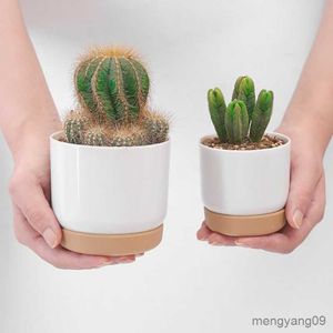 Planters Pots Succulent Plant Pot Double-layer Succulent Green Round Double Layer Small Green Plant Flowerpot Succulent Small Flower Pot R230620