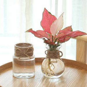 Plantadores potes vaso de flores transparente hidropônico verde endro vaso de flores de plástico simples vaso de flores