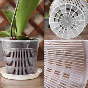 Planters krukor transparent rotstyrd orkidéplantningskruka med stomata plast blomkruka stativ växter grönsaker frukt månblomma potten r230620