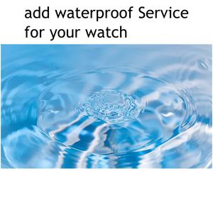 Watch Custom Waterproof Factory bietet einen speziellen Uhrenservice für Kunden an