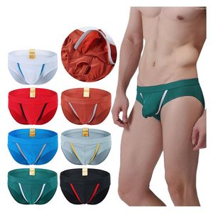 Underpants Men Briefs Low Waist Pouch Nylon Underwear Penis Hole Calzoncillos Hombre Slips Bulge Mens Sexy Homme WJ Mesh Shorts