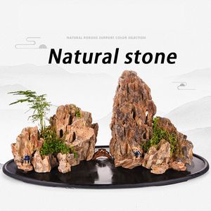 Dekorationer Natural Stone Fish Rest Hole Ornament Fish Tank Aquarium Landscape Decor Fish Rest House Decorative Bakgrund 230620