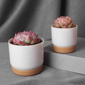 Planters POTS PRAKTISKA SUCKULENT PLANTER ANVÄNDNING PLAST POT RUBBILL STABIL SUCCULULE Green Plant Pot Double-Layer Flowerpot R230621