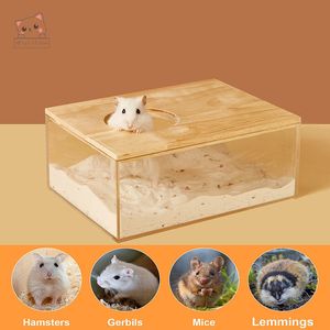 Hamster Transparent Bathroom: Full-View Sand Basin House for Small Animal Potty Training
