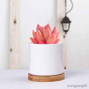 Planters POTS Simple White Ceramic Succular Flower Pot Creative Living Room Office Circular Cactus Green Plant Small Flower Potts Wholesale R230621