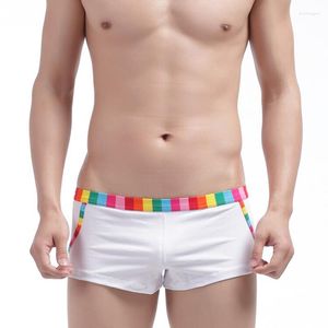 Underpants Sexy Boxers For Gay Man Rainbow Underwear Men Cotton Material Shorts