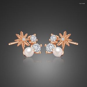 Stud Earrings Real 925 Sterling Silver Chic Jewelry Rose Gold Star Zircon Not Allergic Birthday Present