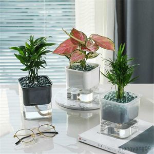 Fioriere Vasi Piante idroponiche trasparenti Vaso Vasi da fiori automatici che assorbono l'acqua Vasi con corda Fioriere per fiori per la casa Ornamenti per bonsai R230621