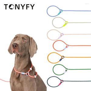 Dog Collars & Leashes 150cm Lightweight Nylon Pet Round Rope Lead P Chain Collar Adjustable For Small Medium Dogs Training Puppy Walking