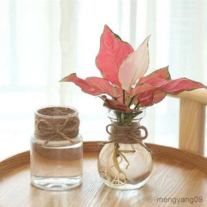 Vasos de plantas 1 peça de plástico transparente jacinto flor transparente vaso de garrafa faça você mesmo ornamento sala de estar decoração de jardim vaso de flores r230621