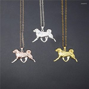 Hänge halsband 4 färger akita charm halsband trendig metall hund smycken japanska kvinnor