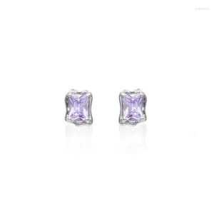 Brincos Stud Brilhante Zircão Dream Light Purple Brinco Quadrado Redondo Cristal Fake Piercing Para Mulheres Jóias de Casamento Presente de Natal