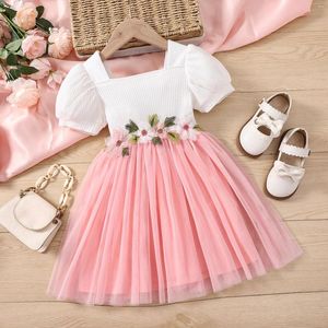 Abiti da ragazza Cute Pretty Kids Toddler Girls Dress Ricamo Fiore Manica corta Pizzo Princess Party Prom Tulle 1-6 anni