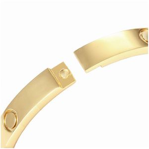 Bangle Designer di gioielli Designer Spilla Cerchi d'oro Bracciale d'amore Piatto di smalto cloisonne Sier Alloy Drop Delivery Bracciali Dhvkr