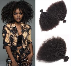 Brasiliansk afro kinky lockigt mänskligt hårbuntar remy hår väver dubbelt wefts 100g/bunt 2bundle/lot hårförlängningar