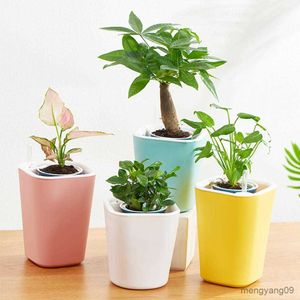 プランターポットフラワーホルダープラスチックスクエアシェイプソリッドカラー植物ポット取り外し可能な水吸収耐久性のある多肉植物容器庭園R230621