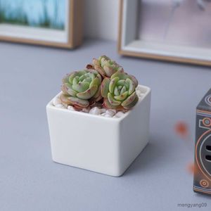 Fioriere Vasi Vaso da fiori Bianco Mini creativo da tavolo Vaso da fiori in vaso Piccolo quadrato dritto Vaso da fiori in ceramica succulenta Decorazioni per ufficio Indoor R230621