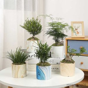 Planters Pots Ceramic Fleshy Northern European Style Simple Water Transfer Marble Potted Cylindrical Flowerpot Office Decor R230621