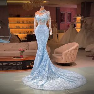 Sky Blue Gorgeous Elegant Mermaid Evening Dresses Long Sleeves Appliques Sweep Train Custom Made Women Formal Prom Party Gowns