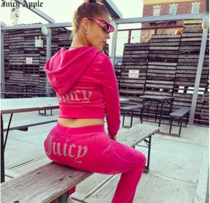 Juicy Apple Women's Tracksuits Velvet Sewing Suits Outfit Two Piece Jogging Set Velour Met Hoodie Pants Suit Womens