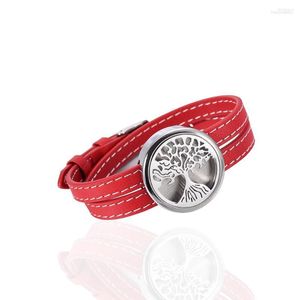 Braccialetti a maglie Albero genealogico / Bracciale con oli essenziali Bracciale con medaglione diffusore in acciaio inossidabile con 12 pastiglie regalo nel 2023