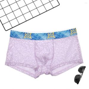 Mutande da uomo Leopard Mesh Sheer Vita bassa Custodia trasparente Slip Boxer Trunks Biancheria intima ultrasottile Trasparente Erotic Hombre