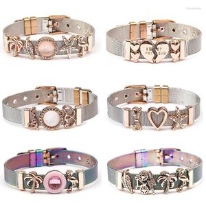 Charm Bracelets Jewelry Colorful Stainless Steel Mesh Bracelet Bangles With Gold Slide Charms Fine As Wife Lover Friend Gift Raym22