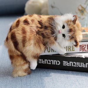 Fyllda plyschdjur Simulering Katt Animal Model Päls Handikraft Katten Doll Blinking Cat Anime Plush fyllda djur Kid Kitten Toys Home Decoration 230621