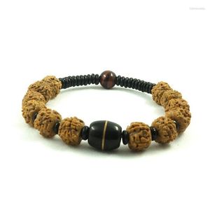 Charmarmband rudraksha naturligt kokosnötskal med röda tiger ögonpärlor armband för män kvinnor unisex tibetan stretch raym22