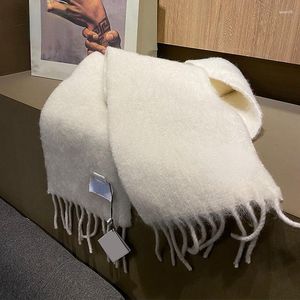 Cachecóis 2023 no inverno cachecol feminino masculino designer de luxo mohair xale envoltório pashmina cobertor lenço de pescoço feminino lenço bufanda