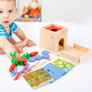 Pluck Carrot Toys Basswood Plywood 4in1 Early Education Toys Fadeless Durable for Toddlers Preschool Festival Gift