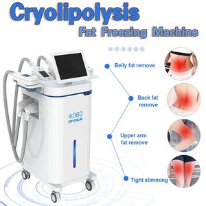 2023 Cryolipolysis Fat Freeze Macchina dimagrante 4 Maniglie Cryo Rimozione del doppio mento a 360 ° Riduzione del grasso Crioterapia dispositivo per scolpire boby