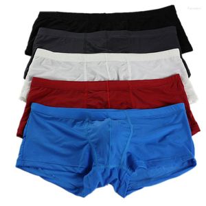 Underpants 5Pcs/Lot Men's Ice Silk Underwear Boxers Sexy Mens Transparent Ultra Thin Fetish Gays Bulge Pouch Boxer Shorts Trunks