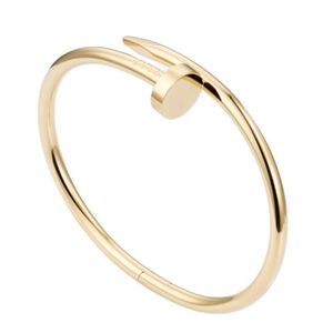 Älskare Sweet Bangle minimalistiska rostfritt stål mångsidiga armband för kvinnor nagelarmband Sier Gold Designer