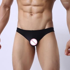 Underpants 2023 Fashion Men Sexy Transparent Pouch Underwear Mens Seamless Briefs Ice Silk Slip Sheer Man Size S M L XL