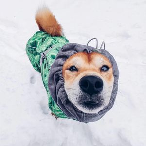 Ayakkabılar Kış Evcil Köpek Kıyafetleri Su Geçirmez Köpekler Ceket Kış Giysileri Küçük Orta Büyük Köpekler İçin Sıcak Kıyafetler Ubranka Dla Psa