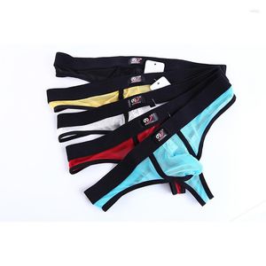 Underpants AIIOU Sexy Underwear Men Briefs 5PCS Thong Gay Sissy Panties Penis Pouch Mesh Hole Transparent Jockstrap