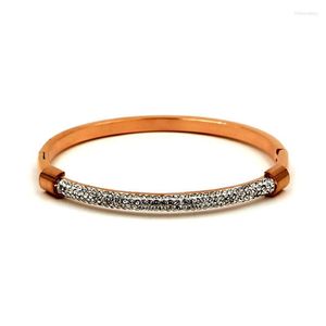 Bangle Fashion Super Shiny Arc Arc Full Diamond Double Heard Head Bracelet модный темперамент Throw Match Cool Titanium Steel Melv22