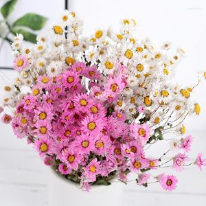 Decorative Flowers 1 Bunch Natural Dried Preserved Rudan Bird Bouquet Mariage Gift For Wedding Home Decoracion Flores Secas Props P