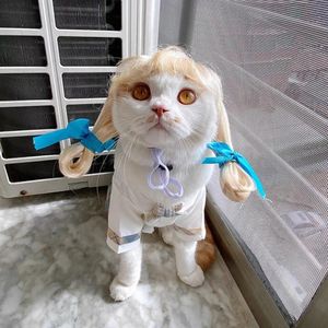 Fantasias de gato Peruca para animais de estimação Adereços para cosplay Cachorro Gato Travessia Conjunto de cabelo Pografia Adereços engraçados Acessórios para a cabeça Brincadeira Artigos para animais de estimação 230625