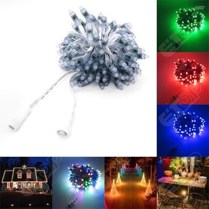 Stringhe regolate Led Ws2811 Pixel Nodes 12V 12mm 100ct Rgb Full Color Impermeabile Ip68 String Lights per lettere Sign