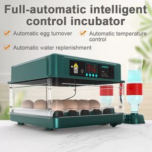 Incubators 15 Eggs Incubator Fully Automatic Turning Hatching Brooder Farm Bird Quail Chicken Poultry Farm Hatcher Turner Incubation Tool 230625