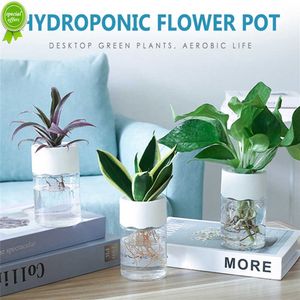 Hydroponic Plant Pots Transparent Water Planting Vase Container Plastic Tabletop Plants Bonsai Pot For Home Garden Decoration