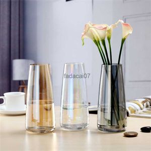 背の高い透明な花瓶の茶色の琥珀色のガラス花瓶背の高い花瓶の灰色のガラス花瓶ホームオフィスの装飾色の花瓶l230620のための透明な花瓶