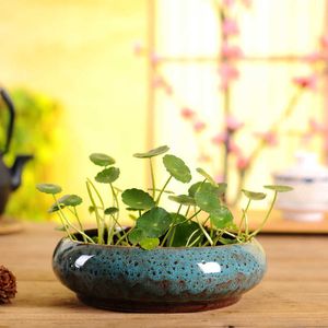 Vasi per fioriere Ciotola per dormire creativa Loto Soldi Erba Pianta idroponica Personalità in vaso Narciso carnoso Decorazione per la casa Vaso di fiori in ceramica