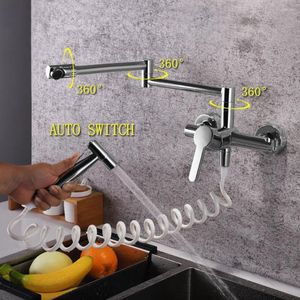 Kökskranar Skowll Wall Mount Sink Kaucet Pot Filler med handhållen sprayer Infällbar vikning WC-4761