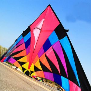 Kite Accessories large delta kite for adults flying toys ripstop nylon sport kite string reel dragon kite cerf volant parachute 230625